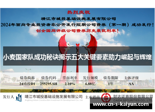 小麦国家队成功秘诀揭示五大关键要素助力崛起与辉煌