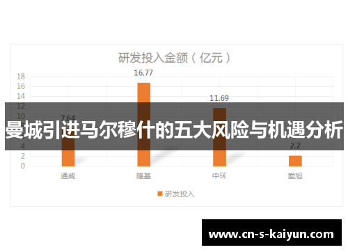 曼城引进马尔穆什的五大风险与机遇分析