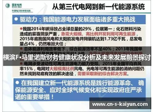 横滨F·马里诺斯财务健康状况分析及未来发展前景探讨